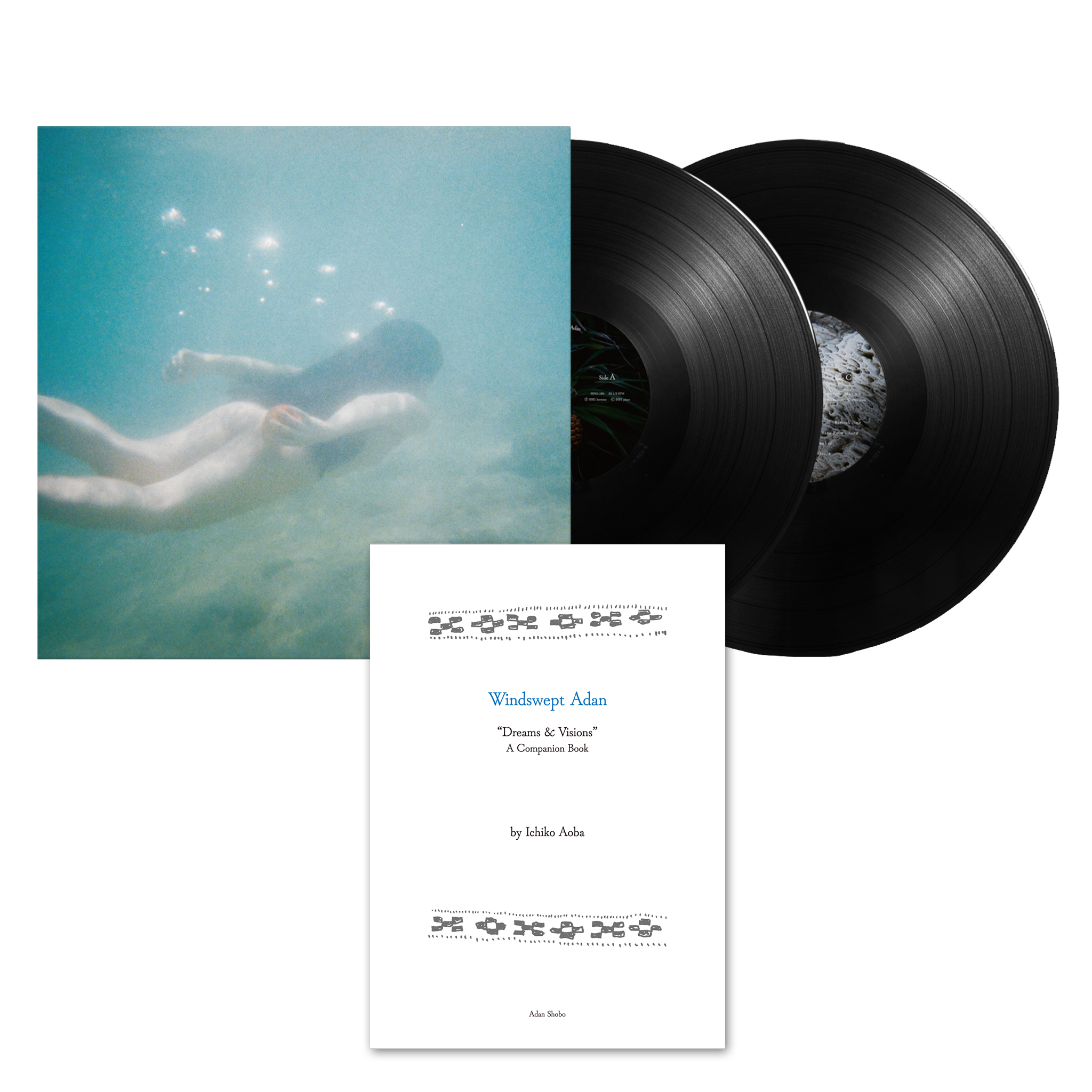 Windswept Adan | Deluxe LP and Book Bundle – Ichiko Aoba US