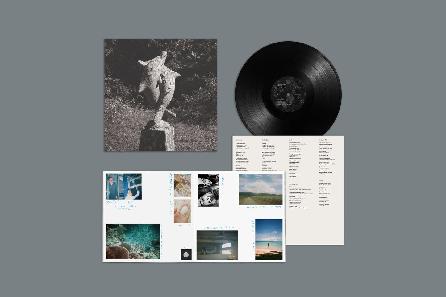 Single Collection LP