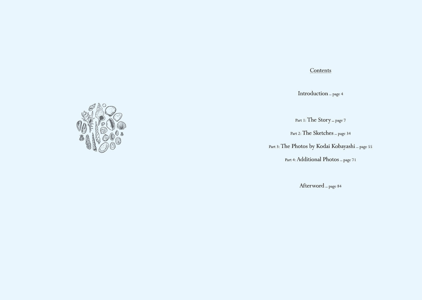 Windswept Adan "Dreams and Visions " Companion Book