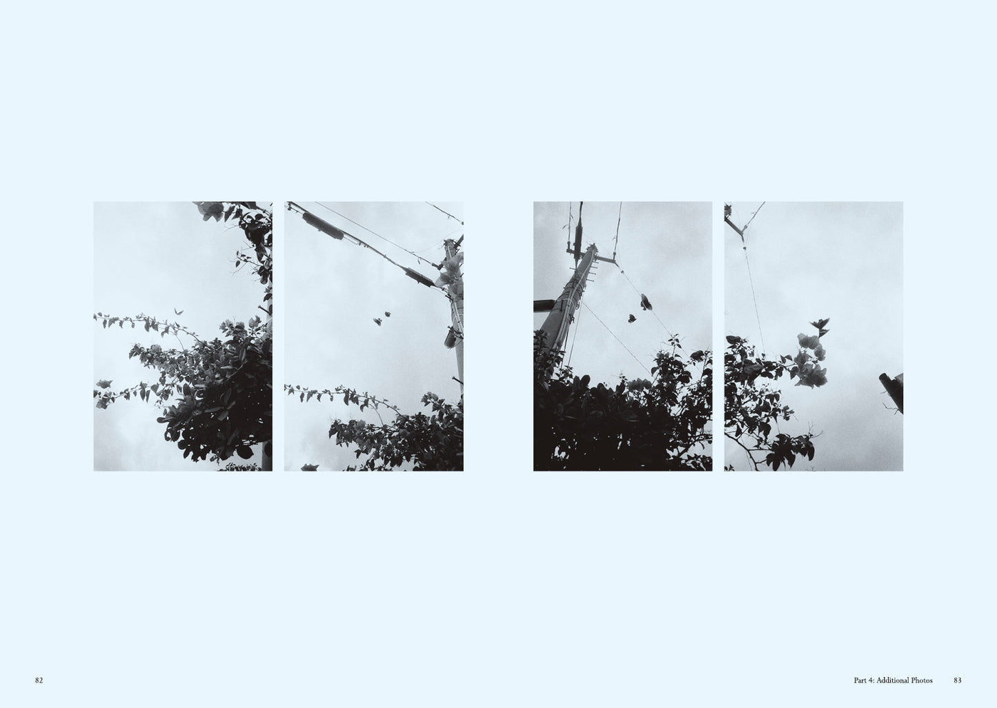 Windswept Adan "Dreams and Visions " Companion Book