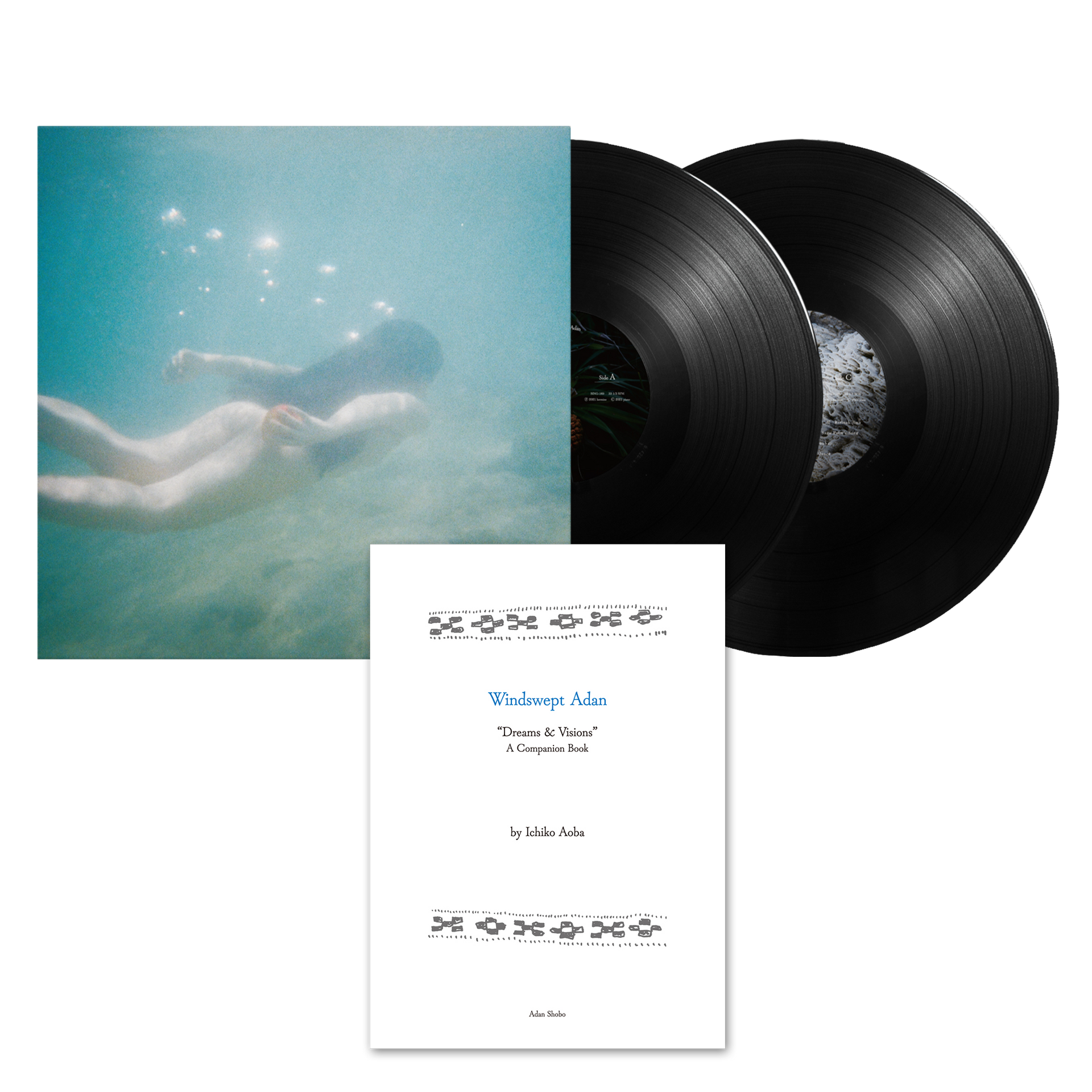 Ichiko Aoba Windswept Adan LP レコード Windswept Adan | Deluxe LP and Book Bundle – Ichiko Aoba US