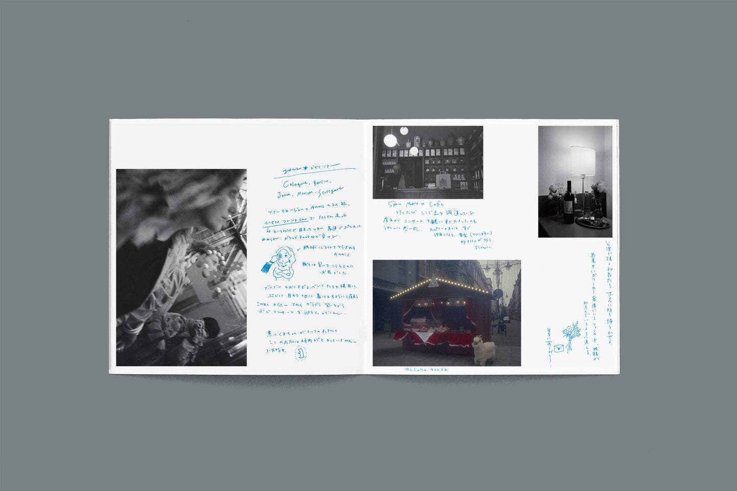 Single Collection LP