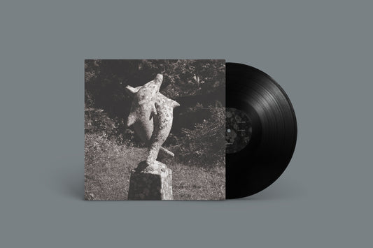 Single Collection LP